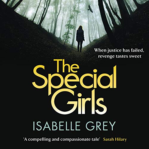 Cover of The Special Girls