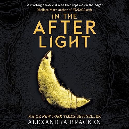 Cover of In the Afterlight