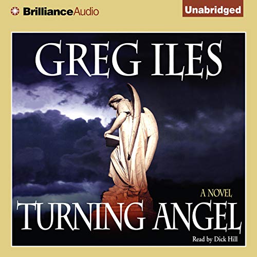 Cover of Turning Angel