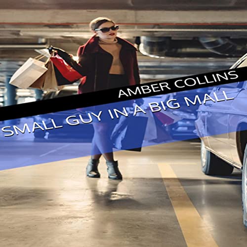 Cover of Small Guy in a Big Mall