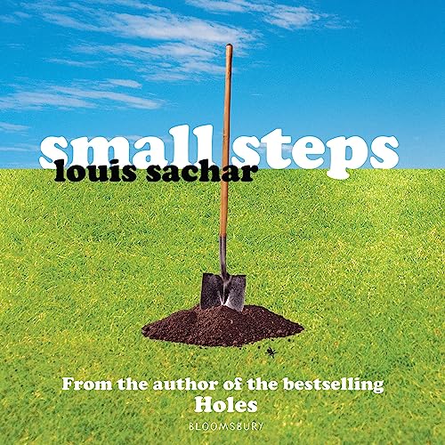 Cover of Small Steps