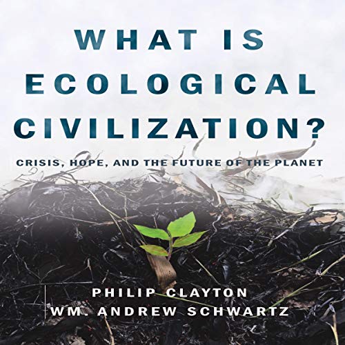 Cover of What Is Ecological Civilization?