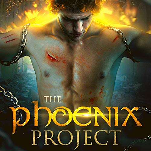 Cover of The Phoenix Project