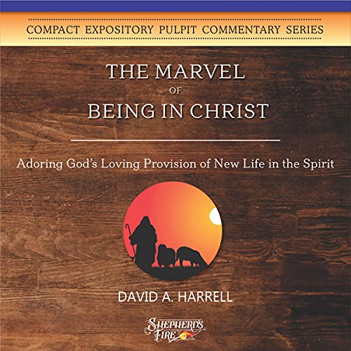 Cover of The Marvel of Being in Christ