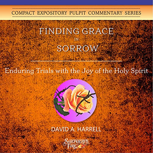 Cover of Finding Grace in Sorrow
