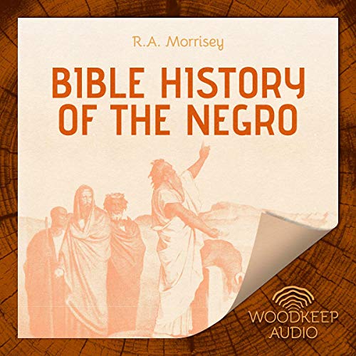 Cover of Bible History of the Negro