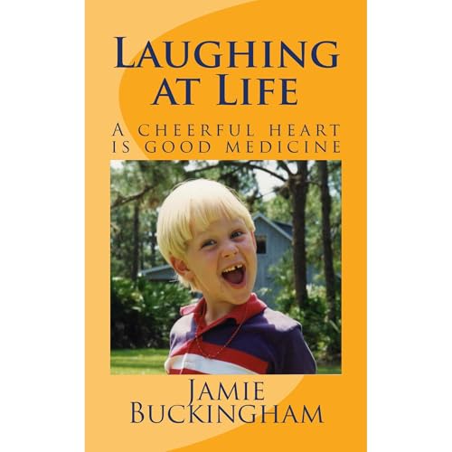 Cover of Laughing at Life