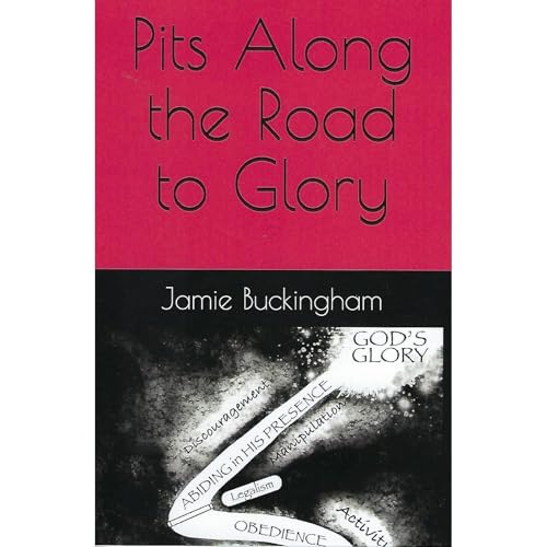 Cover of Pits Along the Road to Glory