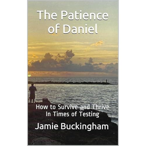 Cover of The Patience of Daniel
