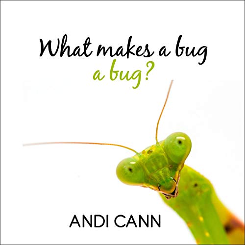 Cover of What Makes a Bug a Bug?