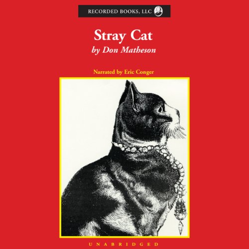 Cover of Stray Cat