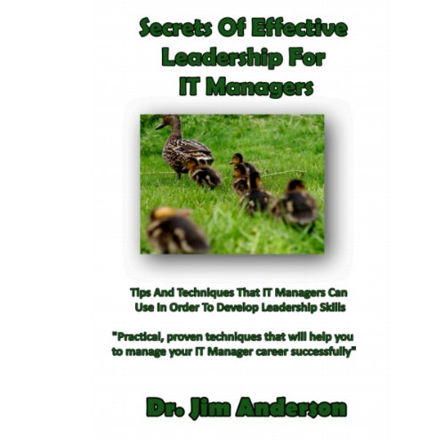 Cover of Secrets of Effective Leadership for IT Managers