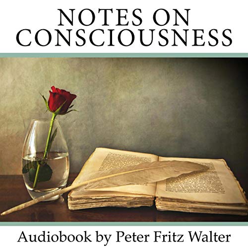 Cover of Notes on Consciousness - Elements of an Integrative Worldview