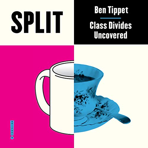 Cover of Split: Class Divides Uncovered