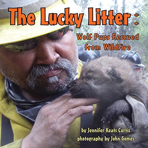 Cover of The Lucky Litter: Wolf Pups Rescued from Wildfire