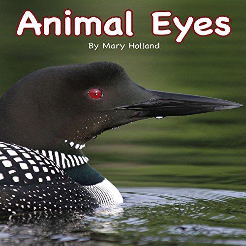 Cover of Animal Eyes