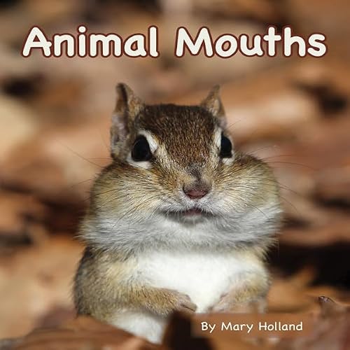 Cover of Animal Mouths