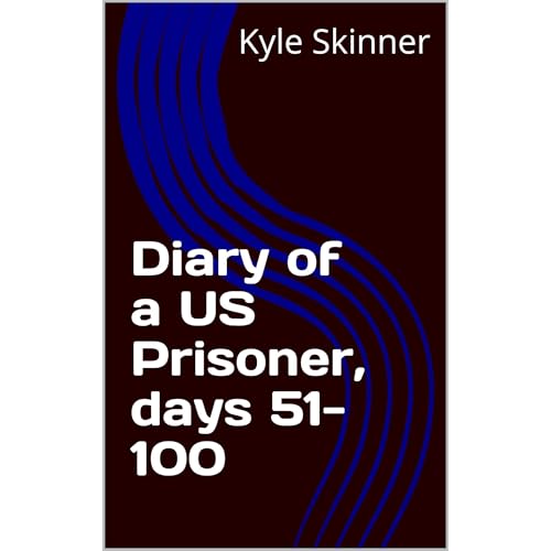 Cover of Diary of a US Prisoner, days 51-100