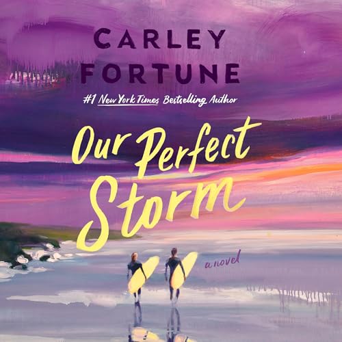 Cover of Our Perfect Storm