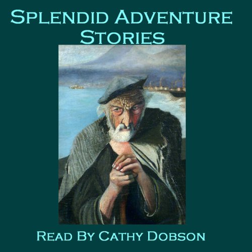 Cover of Splendid Adventure Stories