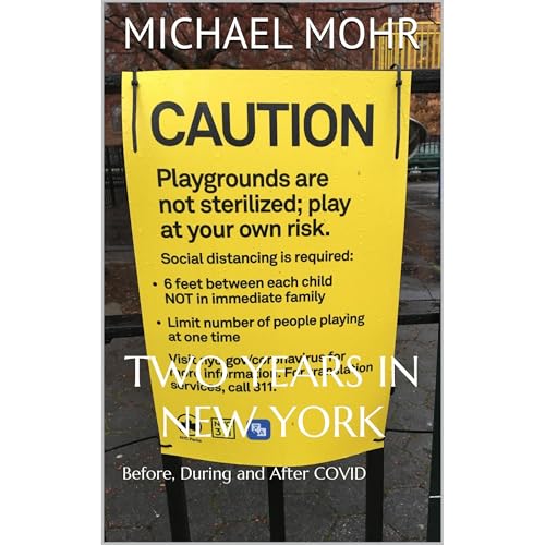 Cover of TWO YEARS IN NEW YORK