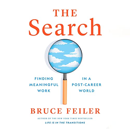 Cover of The Search