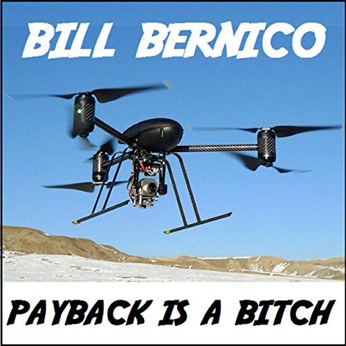 Cover of Payback Is a Bitch