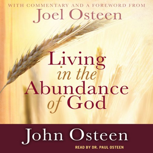 Cover of Living in the Abundance of God