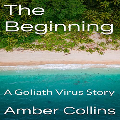 Cover of The Beginning