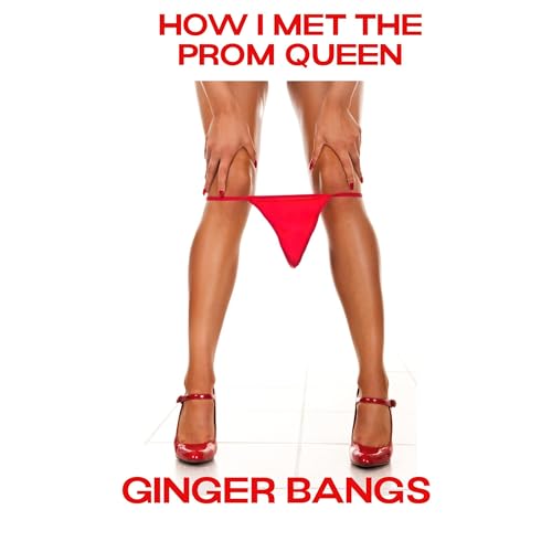 Cover of How I Met The Prom Queen