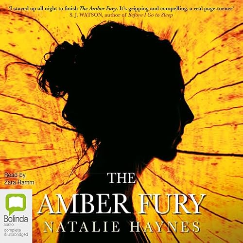 Cover of The Amber Fury