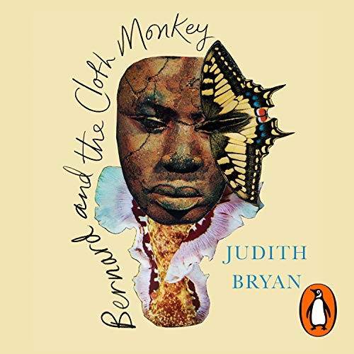 Cover of Bernard and the Cloth Monkey