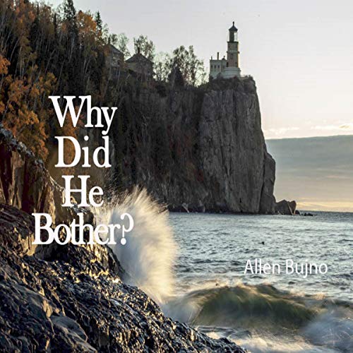 Cover of Why Did He Bother?