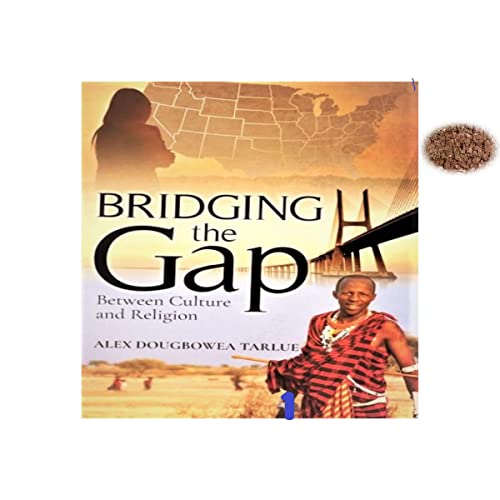 Cover of Bridging the Gap