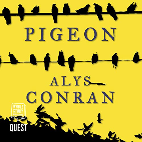 Cover of Pigeon