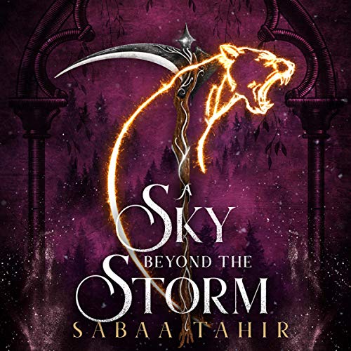 Cover of A Sky Beyond the Storm