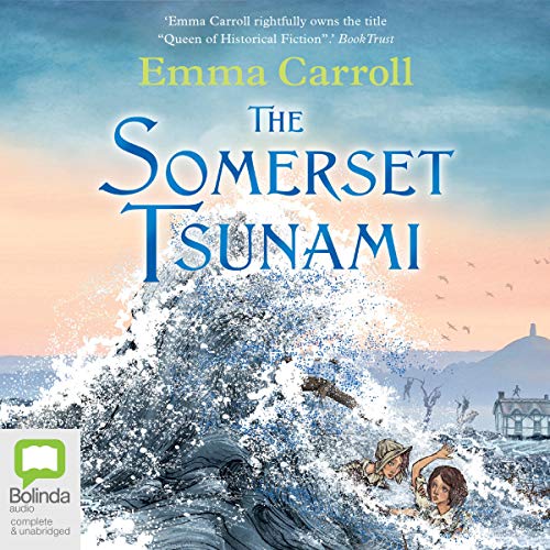 Cover of The Somerset Tsunami