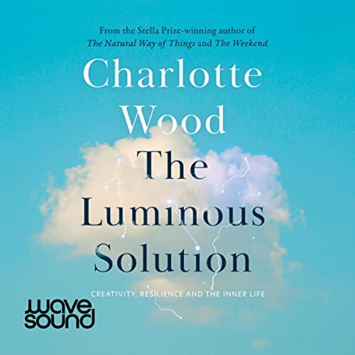 Cover of The Luminous Solution