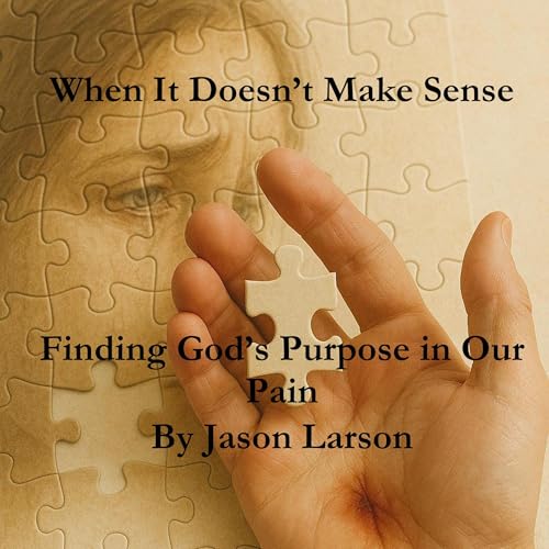 Cover of When It Doesn't Make Sense