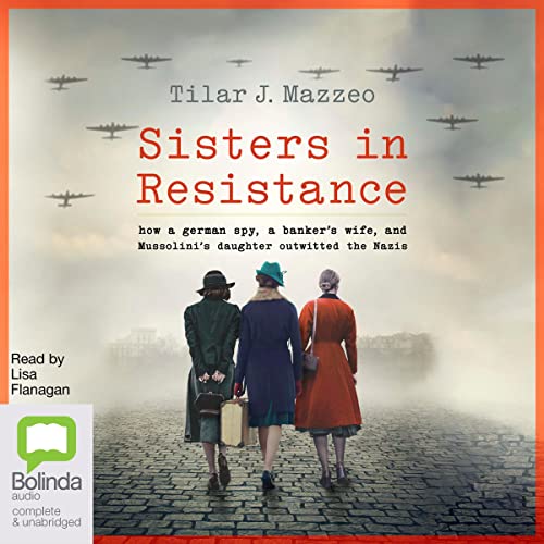 Cover of Sisters in Resistance