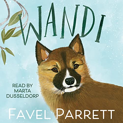 Cover of Wandi