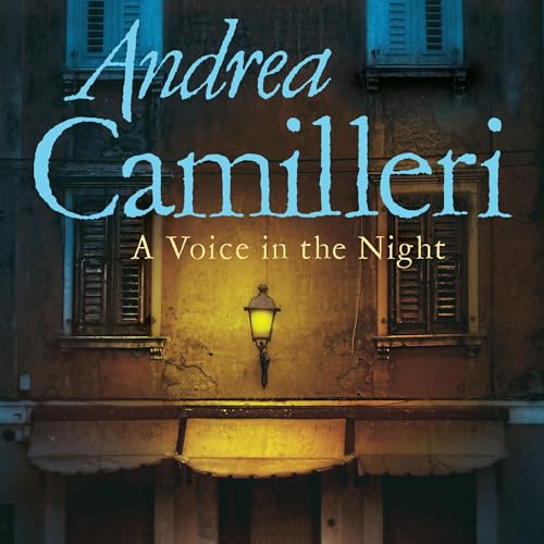 Cover of A Voice in the Night