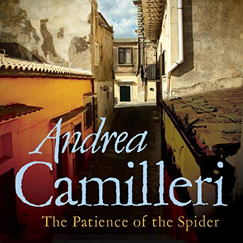 Cover of The Patience of the Spider