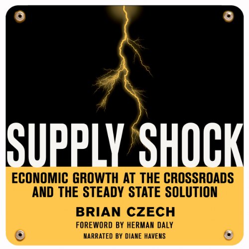 Cover of Supply Shock