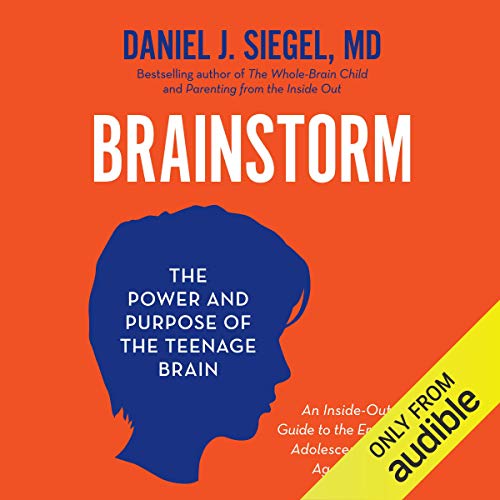 Cover of Brainstorm