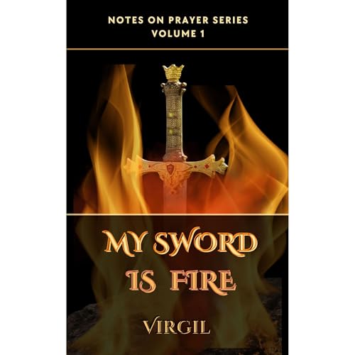 Cover of My Sword is Fire