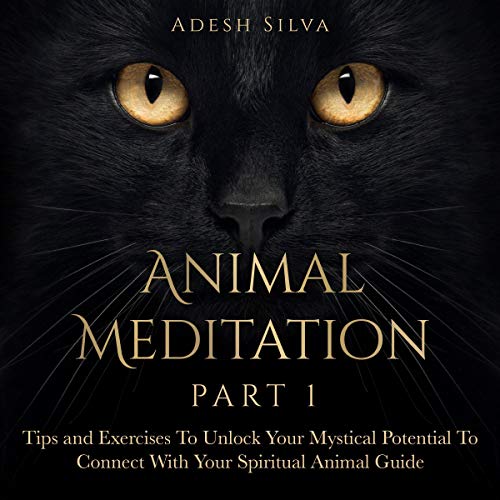 Cover of Animal Meditation Part One