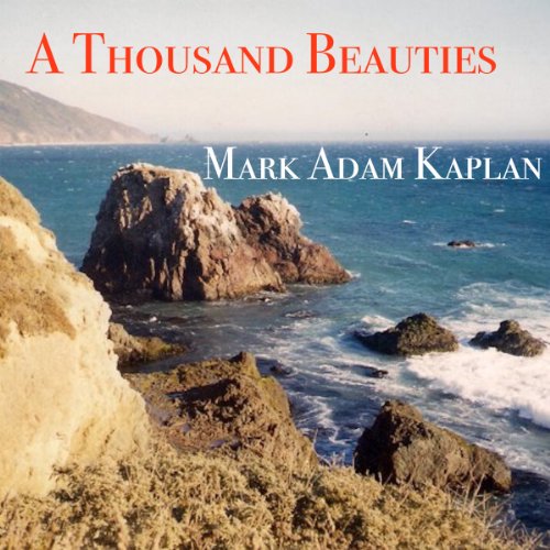 Cover of A Thousand Beauties