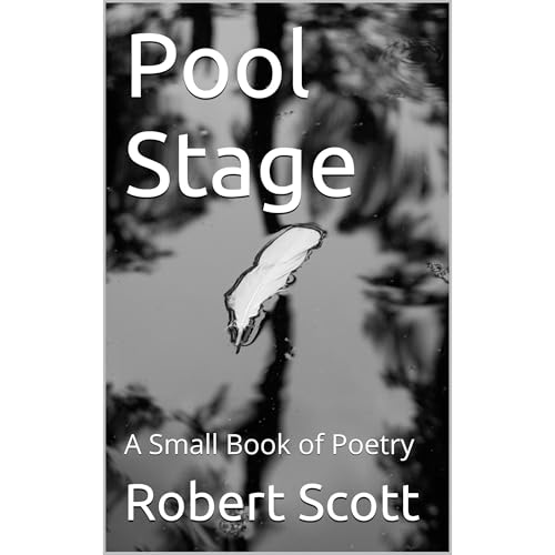 Cover of Pool Stage