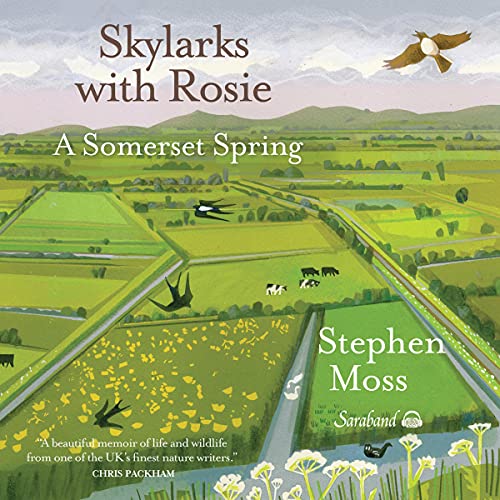 Cover of Skylarks with Rosie